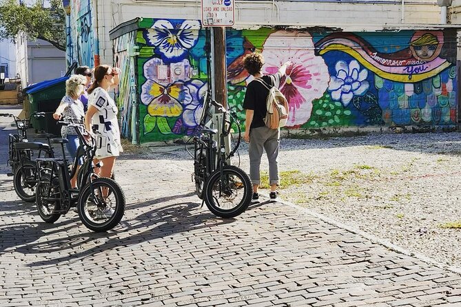 Electric Bike Guided City & Mural Tour - Sum Up