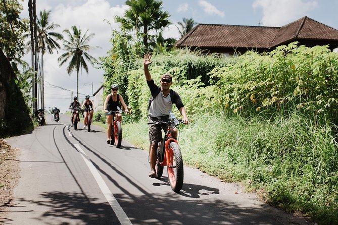 Electric Bike Tour in Ubud - Review of VTT Elec Alentours D Ubud