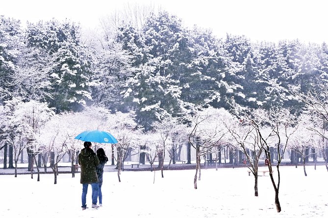Elysian Gangchon Ski Resort With Nami Island Day Tour From Seoul - Cancellation Policy