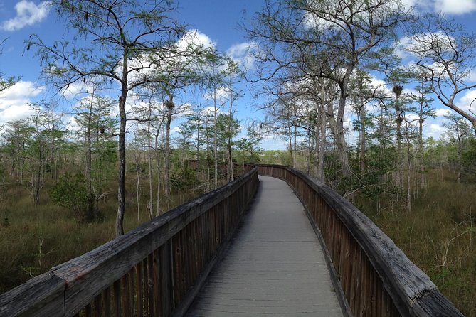 Everglades Day Safari From Ft Lauderdale - Special Offers