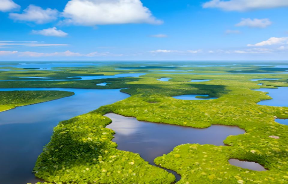 Everglades Immersion Tour: The Ultimate Everglades Adventure - Sum Up