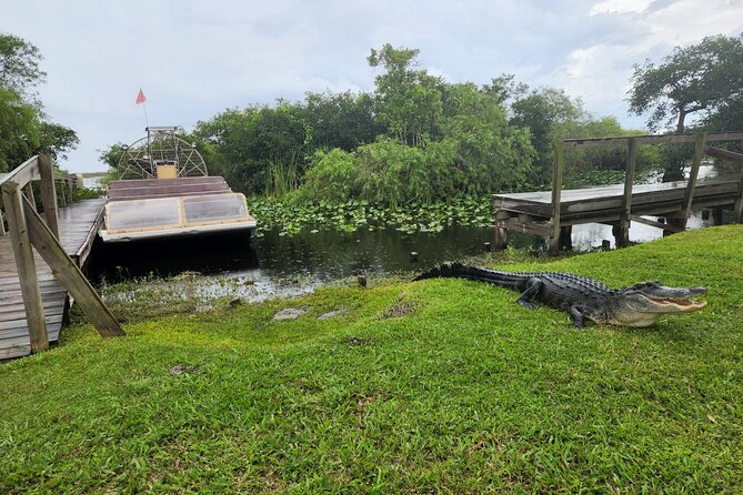 Everglades National Park Biologist Led Adventure: Cruise, Hike Airboat - Company Background and Values