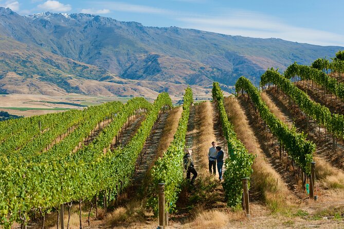 Exclusive Central Otago Wine Tour - Departs Queenstown - Pickup and Drop-off Logistics