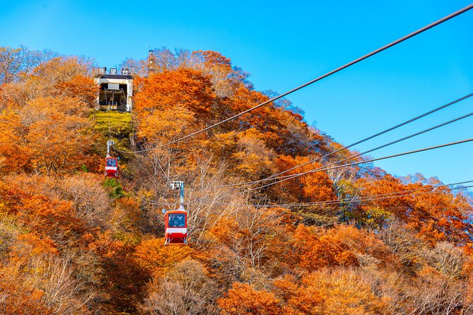 Explore the Culture and History of Nikko With This Private Tour - Common questions