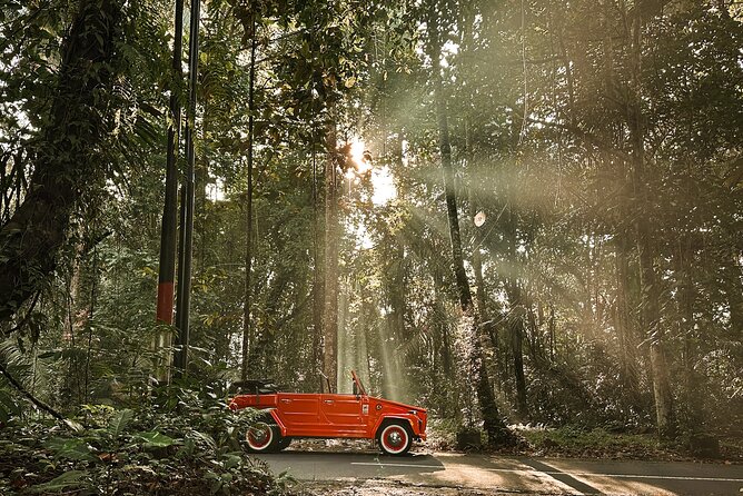 Explore the Highlight of Ubud by Vintage Volkswagen Car - Booking Process and Requirements