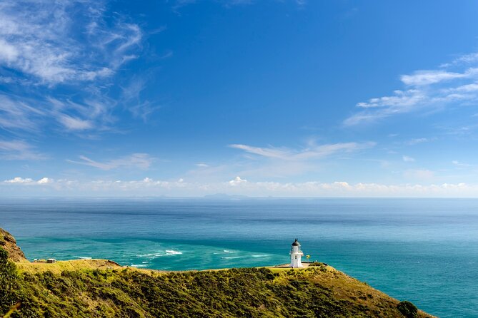 Far North New Zealand Tour Including 90 Mile Beach and Cape Reinga From Paihia - Traveler Feedback and Highlights