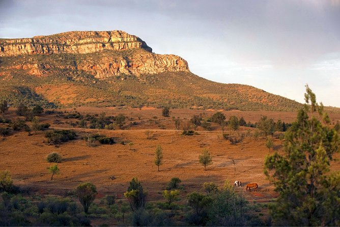 Flinders Ranges 3-Day Small Group 4WD Eco Tour From Adelaide - Exploring Additional Tour Information