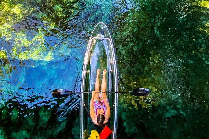 Florida: Silver Springs Small-Group Clear Kayaking Tour  - Orlando - Cancellation Policy and Additional Information