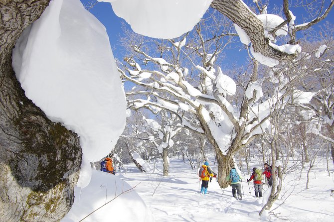 Fluffy New Snow and the Earth Beating, Goshougake Oyunuma Snowshoeing Tour - Address of Goshogake Hot Spring Hotel
