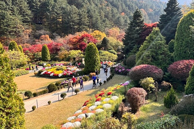 Four Seasons of Nami Island With Garden of Morning Calm Tour - Tour Itinerary and Inclusions
