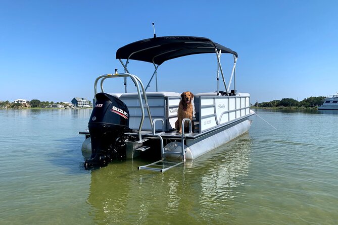 Frisky Mermaid Pontoon Boat Rentals in Pensacola Beach - Operator and Cancellation Policy
