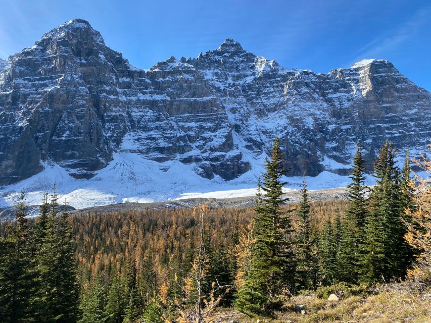 From Banff or Lake Louise: Moraine Lake & Larch Valley Hike - Wildlife Spotting