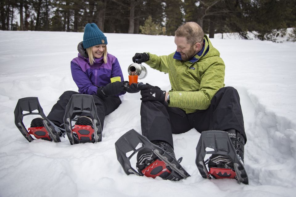 From Banff: Snowshoeing Tour in Kootenay National Park - Location, Transportation, and Reviews