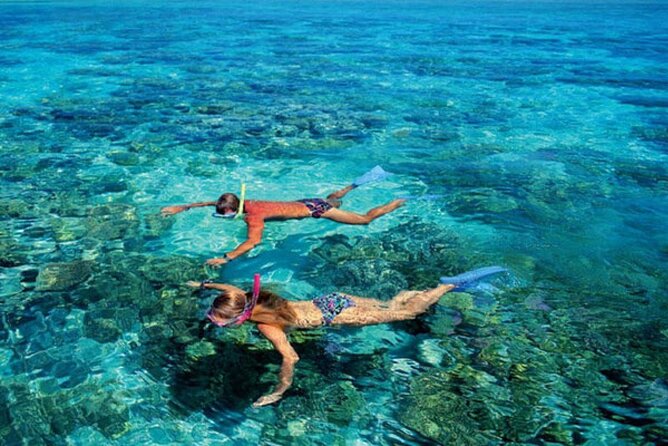 From Gili Trawangan & Gili Air Snorkeling Trip Sharing & Private - Reviews and Customer Support