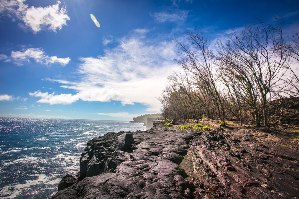From Hilo: Kilauea Lava Flow Tour With Lunch and Dinner - Price and Important Details