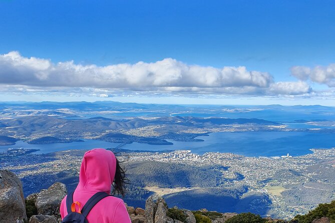 From Hobart: Mt Wellington Afternoon Driving Tour - Booking Process