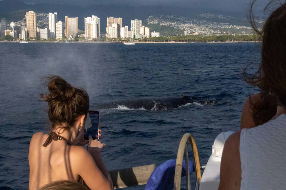 From Honolulu: Private Catamaran Cruise With Captain & Crew - Live Tour Guide Information