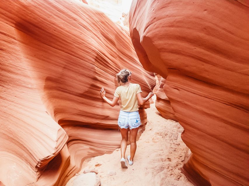 From Las Vegas: Lower Antelope Canyon & Horseshoe Bend Tour - Review Summary