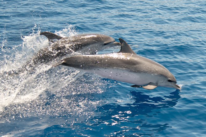 From Maalaea: Lanai Snorkel & Dolphin Encounter on Quicksilver - Directions
