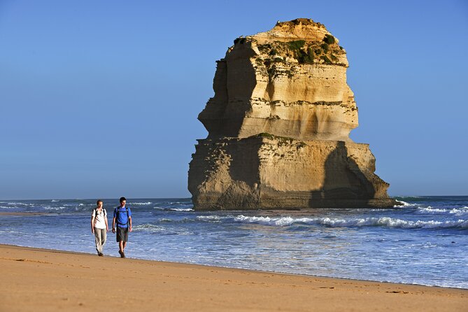 From Melbourne: Great Ocean Road 1-Day Tour - Tour Highlights