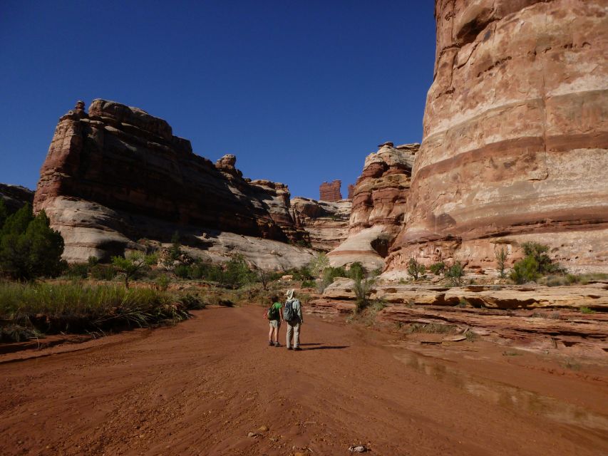 From Moab: 1-Day Horseshoe Canyon Exploration - Logistics and Inclusions