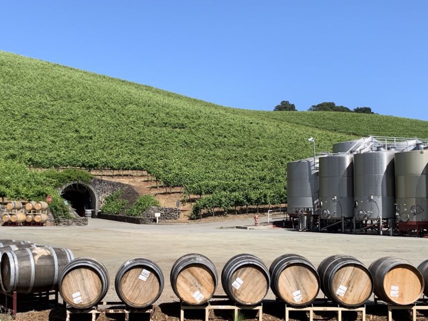 From San Francisco: Private Beer and Wine SUV Tour - Accessibility and Tour Options