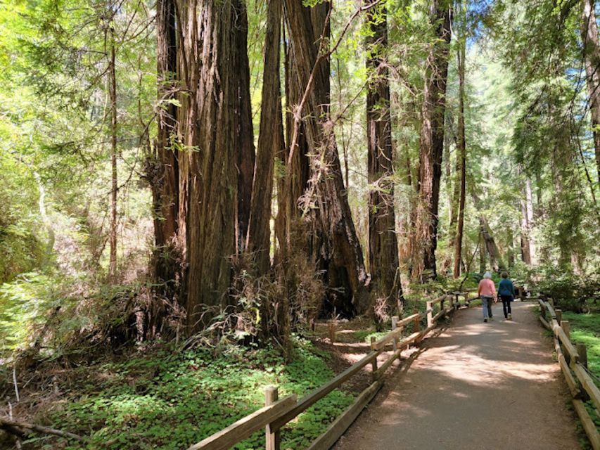 From San Francisco: Private Muir Woods and Napa Wine Tour - Additional Information