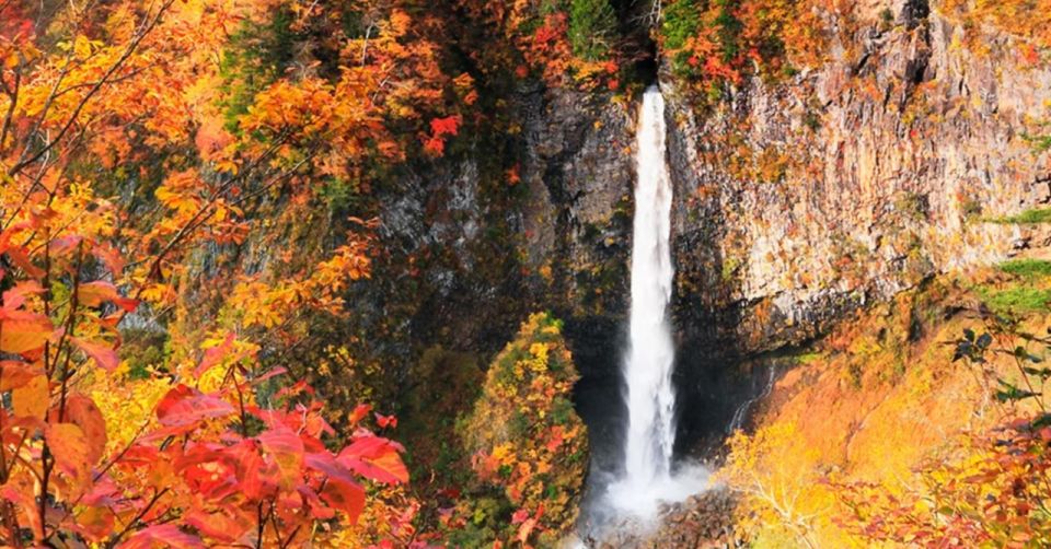 From Tokyo: Nikko UNESCO Shrine and Nature View 1-Day Tour - Customer Reviews