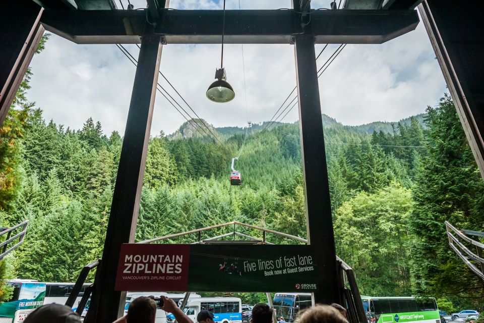 From Vancouver: Grouse Mountain & Capilano Suspension Bridge - Review Summary