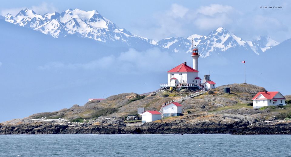 From Victoria: Whale Watching Tour by Zodiac Boat - What to Expect