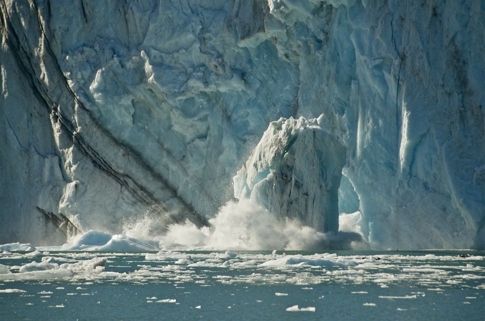 From Whittier/Anchorage: Prince William Sound Glacier Cruise - Tips for a Memorable Cruise