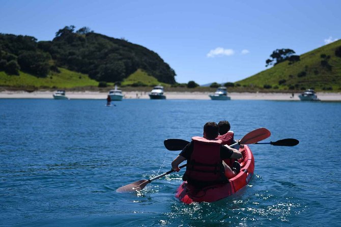 Full-Day Adventure Cruise With Lunch in Bay of Islands - Price and Booking Details