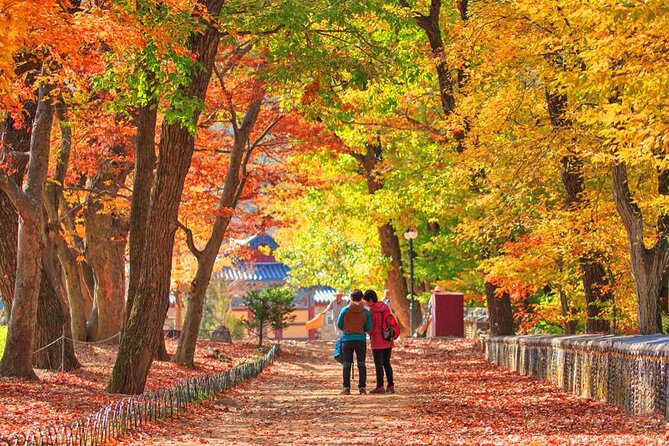 Full-Day Autumn Tour From Busan to Unmunsa Bhikkhuni Temple - Important Reminders