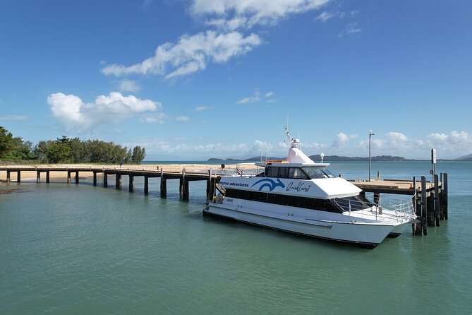 Full Day Cruise Xpedition to Fitzroy, Kent and Dunk Islands - Safety Measures and Guidelines