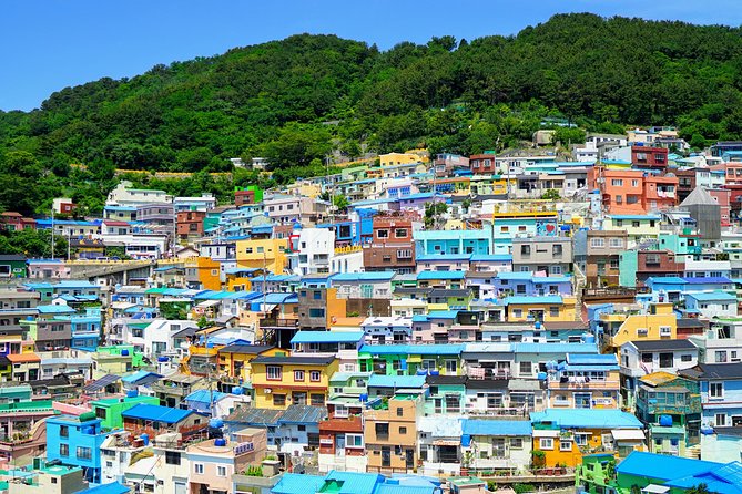 Full-Day Customizable Private Busan Highlight Tour - Detailed Tour Itinerary