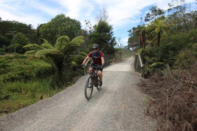Full Day Ebike Tour in Karangahake Gorge (ex Auckland) - Sum Up