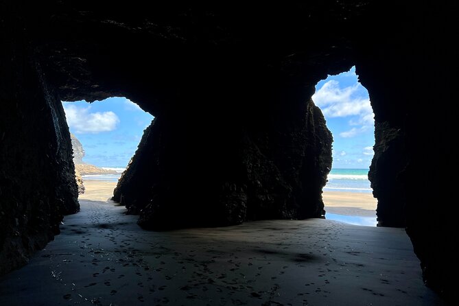 Full Day Exploring the Wild Piha Beach In Auckland - Reviews and Ratings Summary