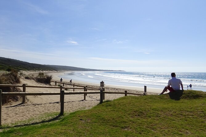 Full-Day Great Ocean Road and 12 Apostles Tour - Safety and Comfort