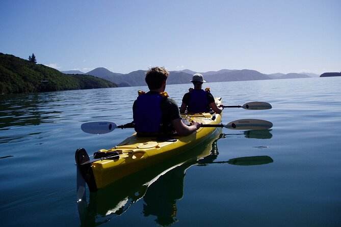 Full Day Guided Sea Kayak Tour From Picton - Wildlife Encounters