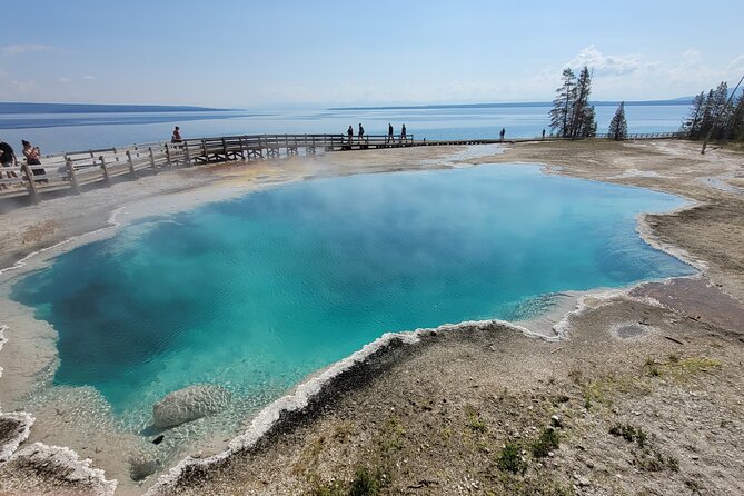 Full-Day Guided Yellowstone Day Tour - Guide Highlights and Experiences