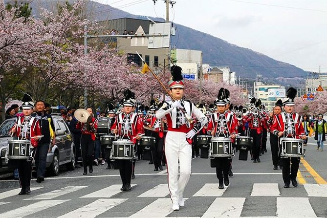 Full-Day Jinhae Cherry Blossom Festival Private Tour - Customer Reviews