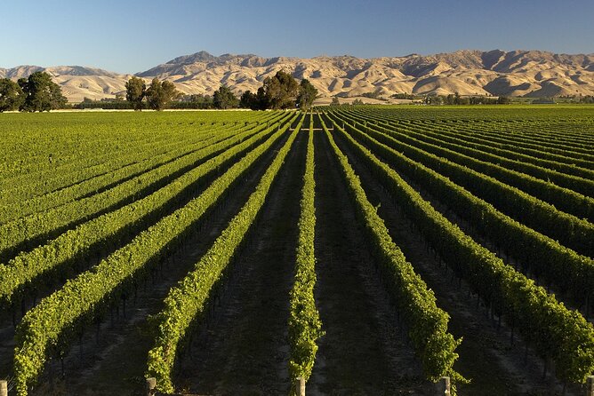 Full-Day Marlborough Wine Tour From Blenheim - Additional Resources