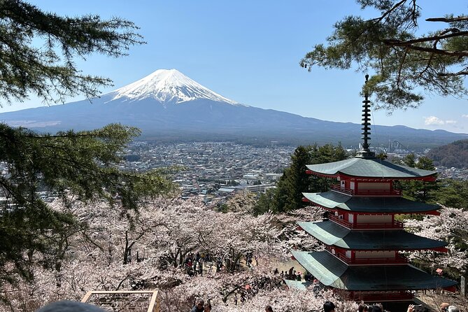 Full Day Mt.Fuji Tour To-And-From Yokohama&Tokyo, up to 12 Guests - Safety Measures