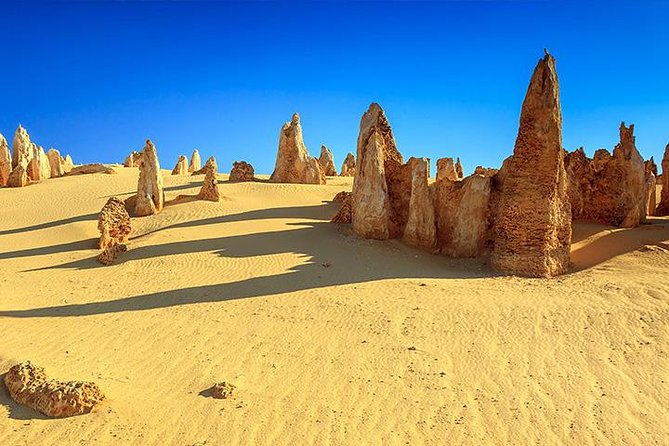 Full-Day Pinnacles Desert and Yanchep National Park Tour From Perth - Traveler Photos Showcase