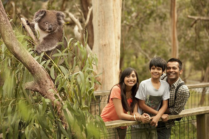 Full-Day Private Australian Wildlife Tour of Phillip Island - Additional Information