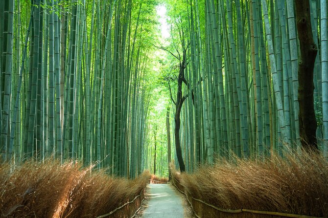 Full-Day Private Bamboo Grove and Golden Temple in Kyoto Tour - Tour Itinerary