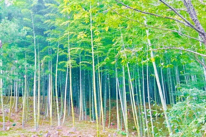 Full-Day Private Guided Tour in Kyoto, Arashiyama - Cultural Insights Shared