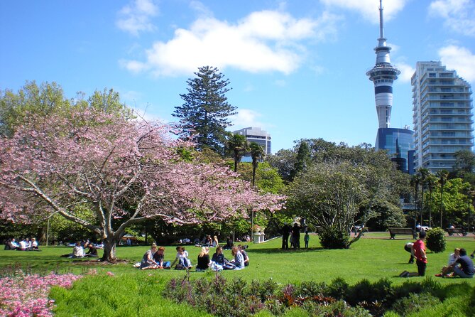 Full Day Private Shore Tour in Auckland From Bay of Islands Port - Advance Notification Requirement