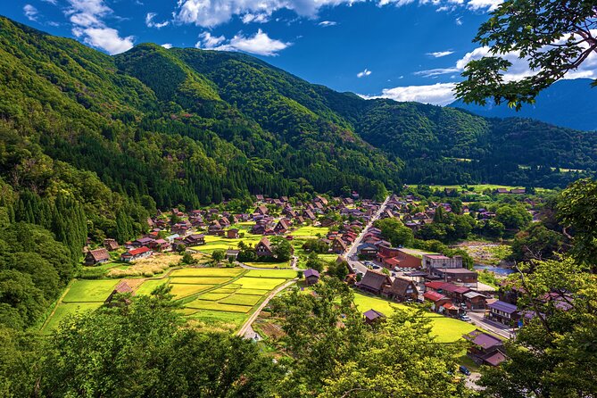 Full Day Private Tour in Takayama and Shirakawago - Sum Up