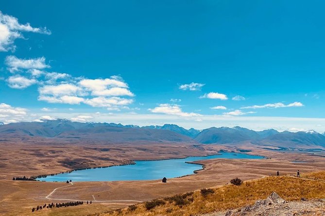 Full-Day Private Tour Mt.Cook From Christchurch - Additional Details